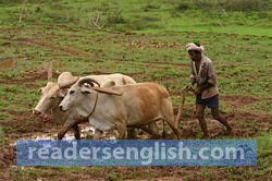 Farmer Urdu meaning