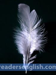 Feather Urdu Meaning