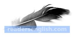 feather Urdu meaning