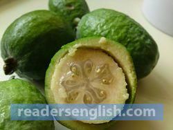 feijoa Urdu meaning