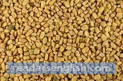 fenugreek Urdu meaning