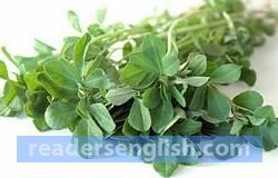 fenugreek Urdu meaning