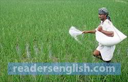 fertilizer Urdu meaning