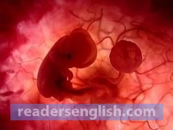 fetus Urdu meaning