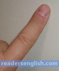 finger Urdu meaning