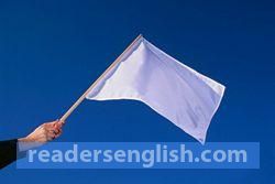 flag Urdu meaning