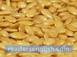 flaxseed Urdu meaning