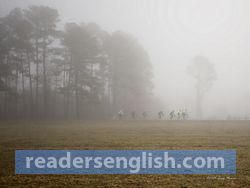 fog Urdu meaning