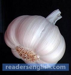 garlic Urdu meaning