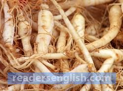 ginseng Urdu meaning