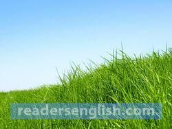 Grass Urdu meaning