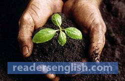 grow Urdu meaning