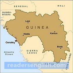 Guinea Urdu meaning
