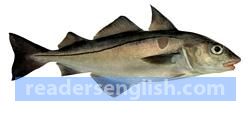 haddock Urdu meaning