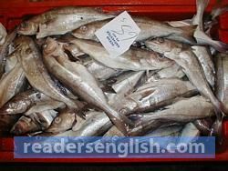 haddock Urdu meaning