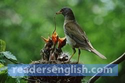 hunger Urdu meaning