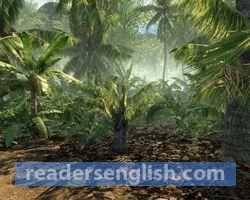 jungle Urdu meaning