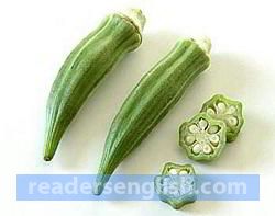 ladyfinger Urdu meaning