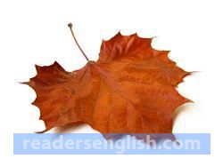 leaf Urdu meaning
