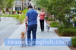 leash Urdu meaning