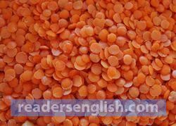 lentil Urdu meaning