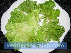 lettuce Urdu meaning