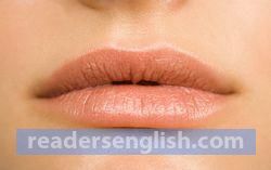 lip Urdu meaning