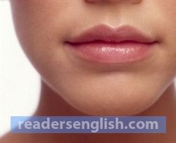 lip Urdu meaning