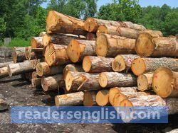 lumber Urdu meaning