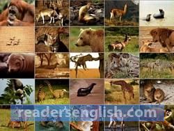 mammal Urdu meaning