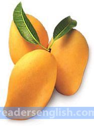 mango Urdu meaning