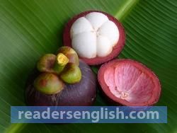 mangosteen Urdu meaning