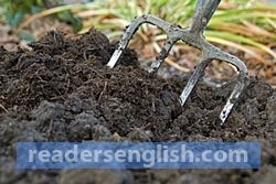 manure Urdu meaning