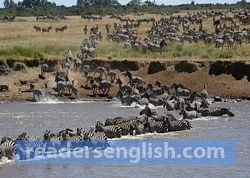 migration Urdu meaning