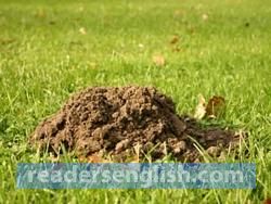 molehill Urdu meaning