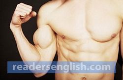 muscle Urdu meaning