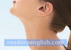 neck Urdu meaning