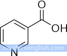 niacin Urdu meaning