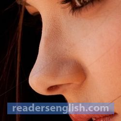 nose Urdu meaning