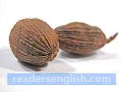 nutmeg Urdu meaning