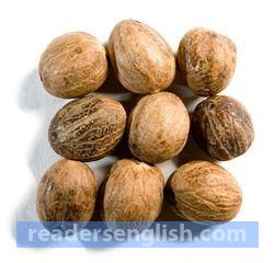 nutmeg Urdu meaning