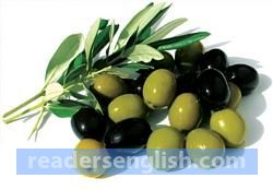 olive Urdu meaning