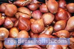onion Urdu meaning