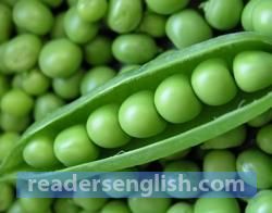 pea Urdu meaning