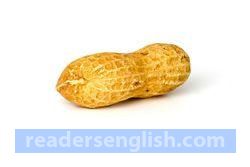 peanut Urdu meaning