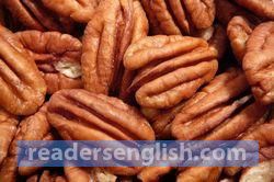 pecan Urdu meaning