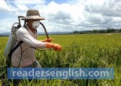 pesticide Urdu meaning