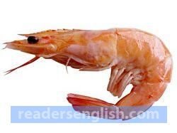 prawn Urdu meaning