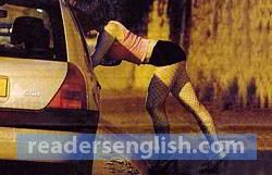 prostitute Urdu meaning