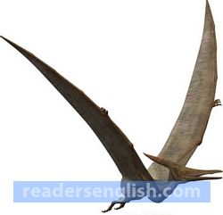 pterosaur Urdu meaning